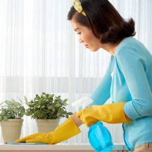 dirtiest places at home